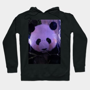 Panda Bear Hoodie